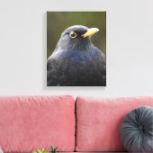 Blackbird Leinwanddruck (Insitu (Wohnzimmer))