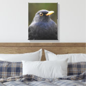 Blackbird Leinwanddruck (Insitu (Schlafzimmer))