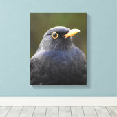 Blackbird Leinwanddruck (Insitu (Holzboden))