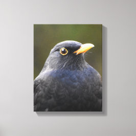 Blackbird Leinwanddruck