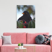 Blackbird Leinwanddruck (Insitu (Wohnzimmer))