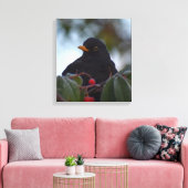 Blackbird Leinwanddruck (Insitu (Wohnzimmer))