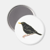 Blackbird Magnet (Vorderseite/Rückseite)