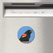 Blackbird Magnet (In Situ (Geschirrspüler))