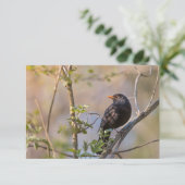 Blackbird Nature Foto Card (Stehend Vorderseite)