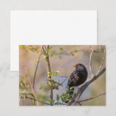 Blackbird Nature Foto Card (Vorne/Hinten)