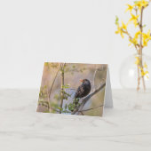 Blackbird Nature Foto Karte (Gelbe Blume)