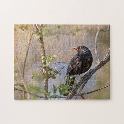 Blackbird Nature Foto Puzzle (Horizontal)