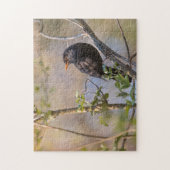 Blackbird Nature Foto Puzzle (Vertikal)