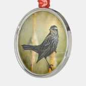 Blackbird-Ornament Silbernes Ornament (Links)