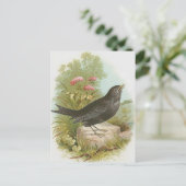 Blackbird Postkarte (Stehend Vorderseite)