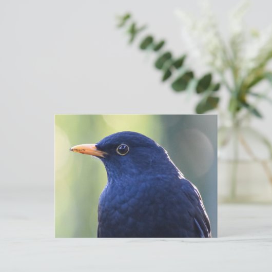 Blackbird Postkarte (Stehend Vorderseite)