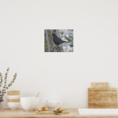 Blackbird Print Poster (Küche)
