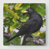Blackbird Quadratische Wanduhr (Vorderseite)