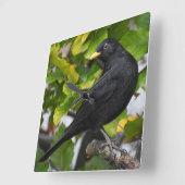 Blackbird Quadratische Wanduhr (Winkel)