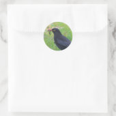 Blackbird Runder Aufkleber (Tasche)