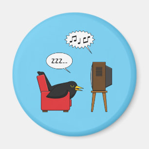 Blackbird Schlafen vor dem TV-Comic Magnet