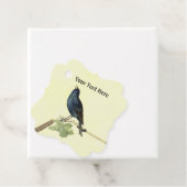 Blackbird singen in der Raupe des Zweiges auf Gelb Geschenkanhänger (Beispiel)