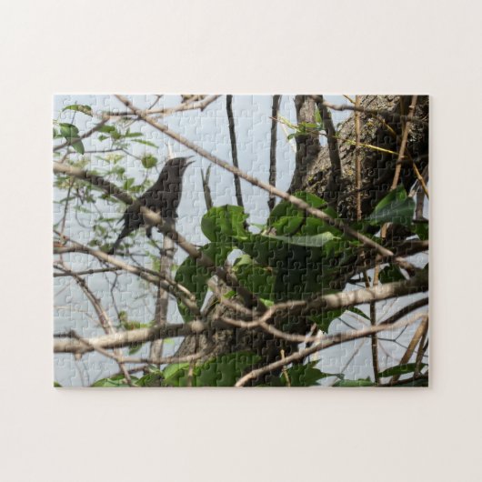 Blackbird Singing Jigsaw Puzzle (Horizontal)