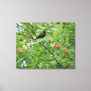 Blackbird und Berries Canvas Print Leinwanddruck