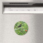 Blackbird und Berries Magnet (In Situ (Geschirrspüler))