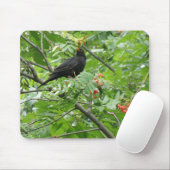 Blackbird und Berries Mousepad (Mit Mouse)