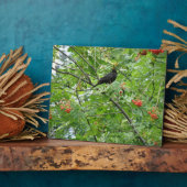 Blackbird und Berries Plaque Fotoplatte (Seite)