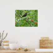 Blackbird und Berries Print Poster (Küche)