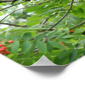 Blackbird und Berries Print Poster (Ecke)