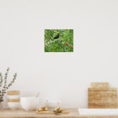 Blackbird und Berries Print Poster (Küche)