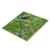 Blackbird und Berries Tile Fliese (Seite)