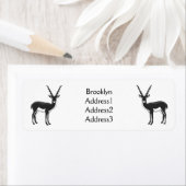 Blackbuck-Antelope-Abbildung (Insitu)