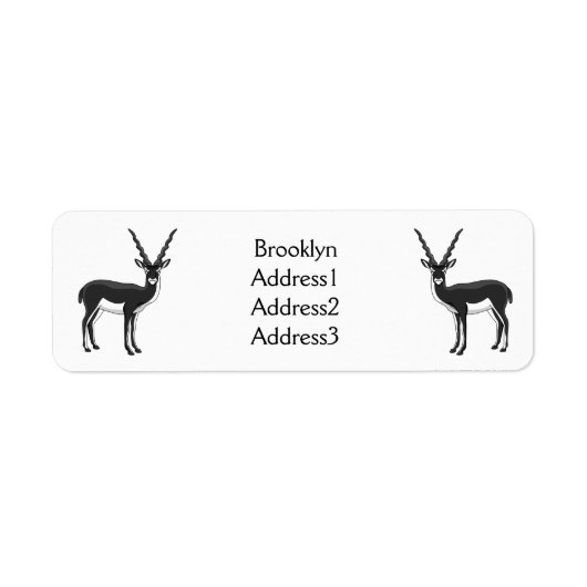Blackbuck-Antelope-Abbildung (Vorne)
