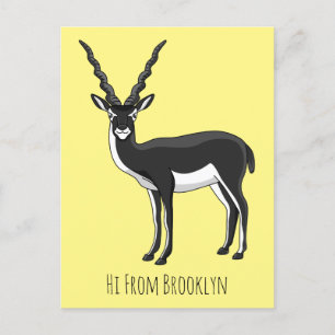 Blackbuck-Antelope-Abbildung Postkarte