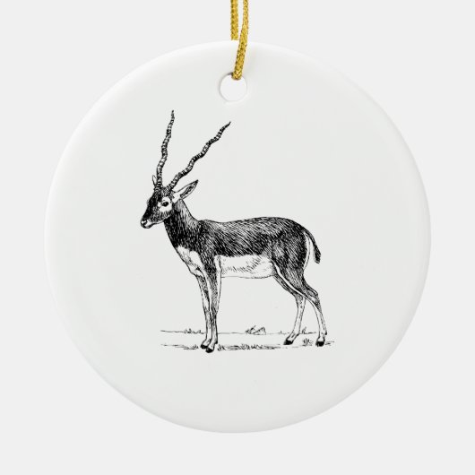 Blackbuck Antilope Keramik Ornament (Vorne)