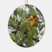 Blackburnian Trällerer Keramikornament (Links)