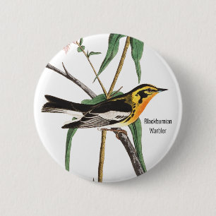 Blackburnian Warbler, Audubon, Wildlife Vogelbeoba Button