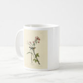 Blackburnian Warbler - Audubons Vögel in Amerika Kaffeetasse (Vorderseite Links)