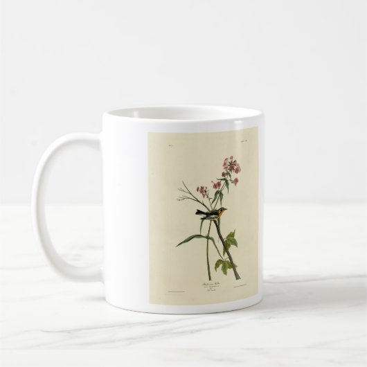 Blackburnian Warbler - Audubons Vögel in Amerika Kaffeetasse (Links)