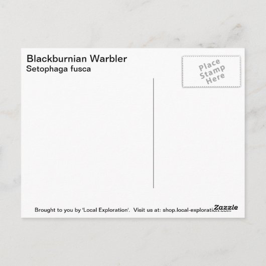 Blackburnian Warbler Postkarte (Rückseite)
