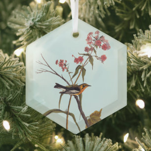 Blackburnian Warbler Vintag Audubon Songbird Art Ornament Aus Glas