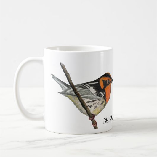 Blackburnian Warbler White Coffee Cup Kaffeetasse (Links)