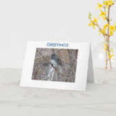 Blackeyed Junco, GRÜSSE, denkend an Sie Karte (Gelbe Blume)