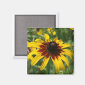 Blackeyed Susan Magnet (Vorderseite/Rückseite)