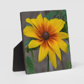 Blackeyed Susan Plaque Fotoplatte (Vorderseite)