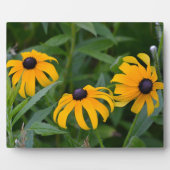 Blackeyed Susan Plaque Fotoplatte (Vorderseite)