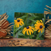 Blackeyed Susan Plaque Fotoplatte (Seite)