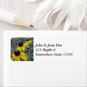 Blackeyed Susans (Insitu)