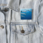 Blackfin Barracuda Button (Beispiel)