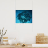 Blackfin barracuda schwimmen in Kreisen Poster (Küche)